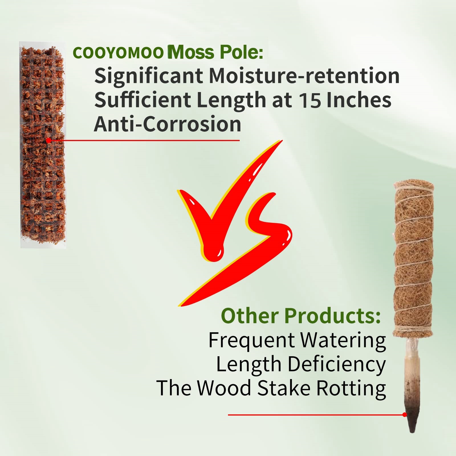 Moss Poles Plants Plant Suppor - Plant Support Stake ulasan dan harga