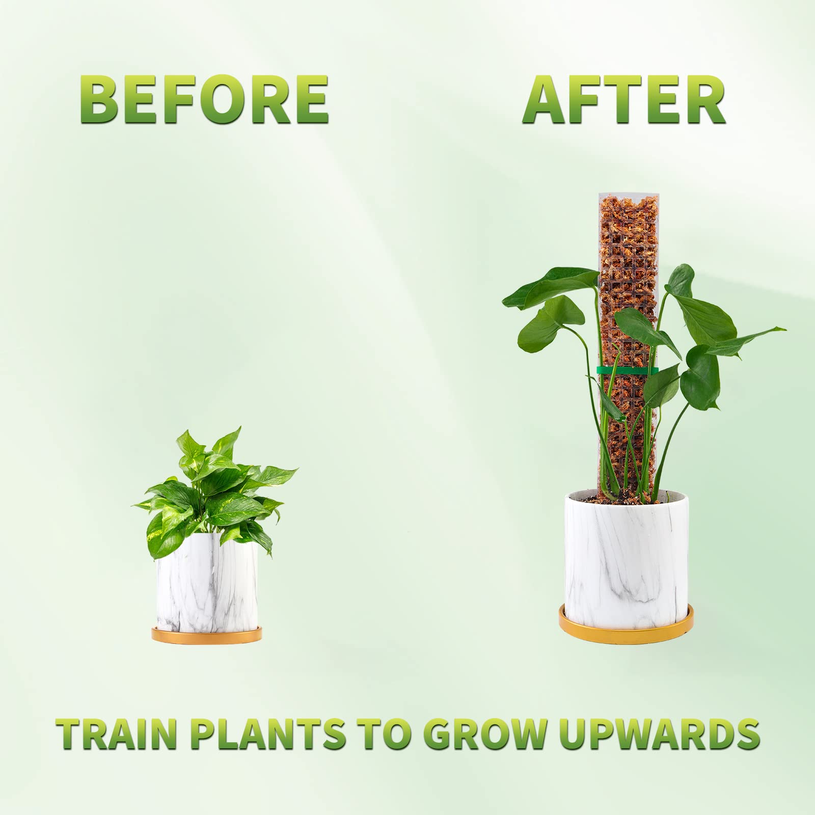 Moss Poles Plants Plant Suppor - Plant Support Stake ulasan dan harga