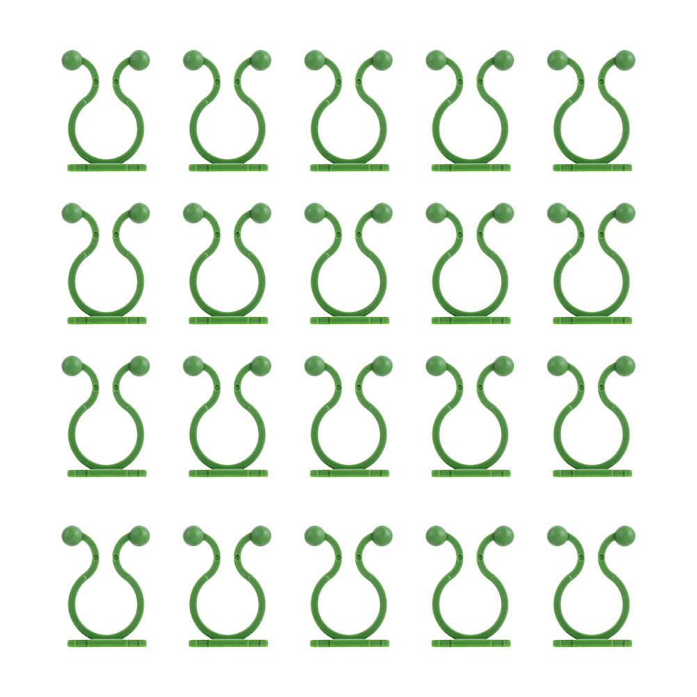 80Pcs Plant Climbing Fixture H - Pothos ulasan dan harga
