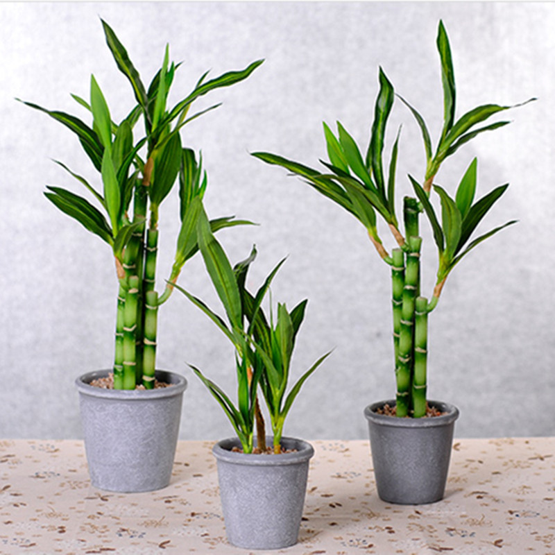 New 40cm Artificial Lucky Bamb - Snake Plant ulasan dan harga