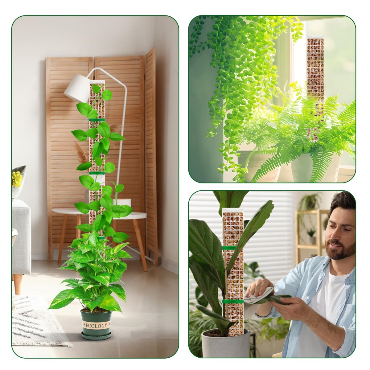 Stackable Plastic Moss Pole fo - Plant Support Stake ulasan dan harga