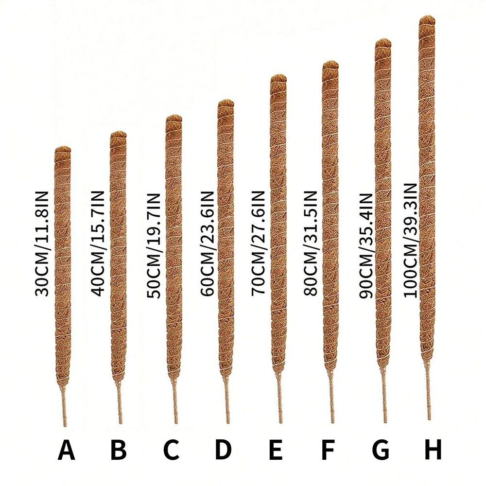 Monstera Plant Moss Pole Suppo - Plant Support Stake ulasan dan harga
