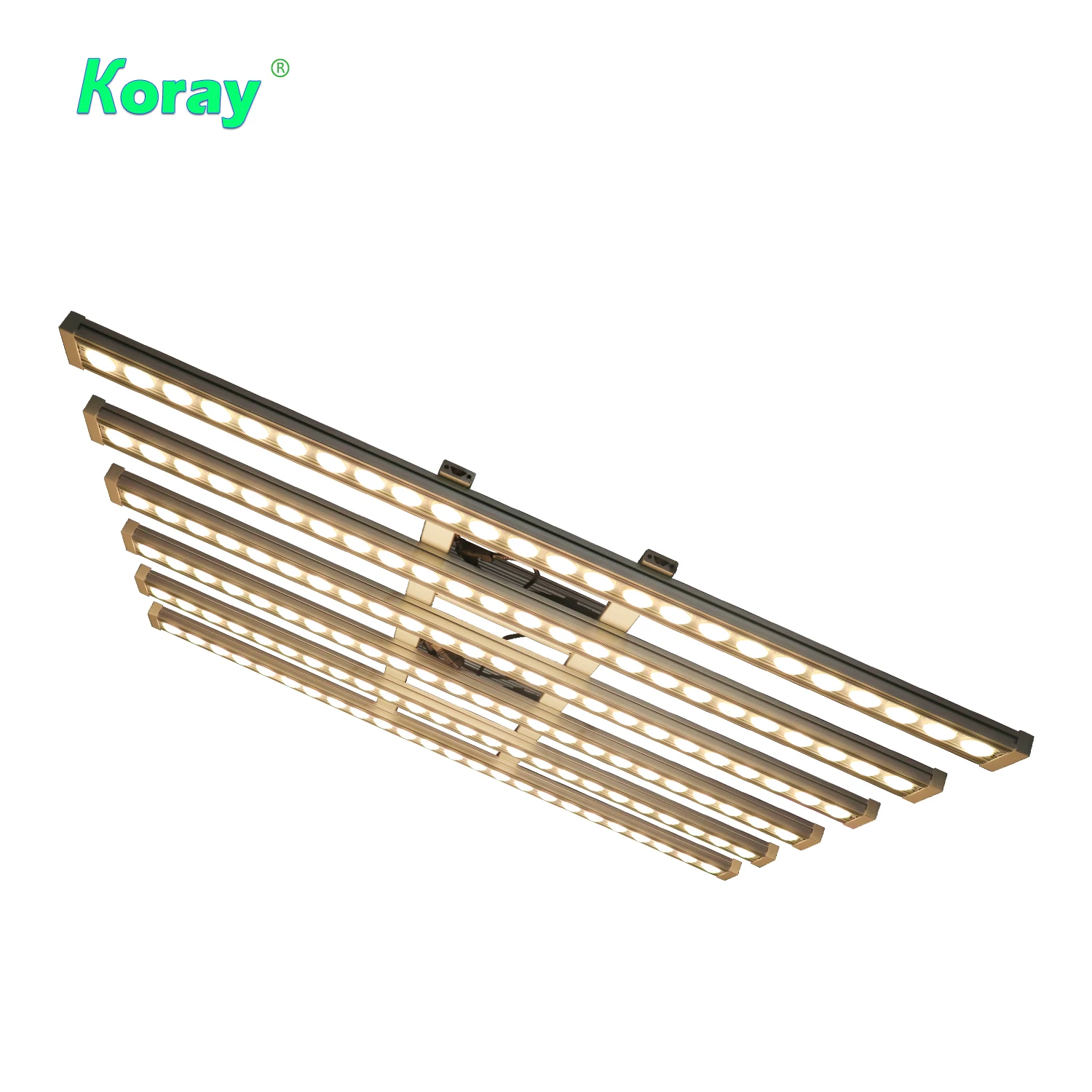Koray 900W Indoor full spectru - Indoor Plants ulasan dan harga