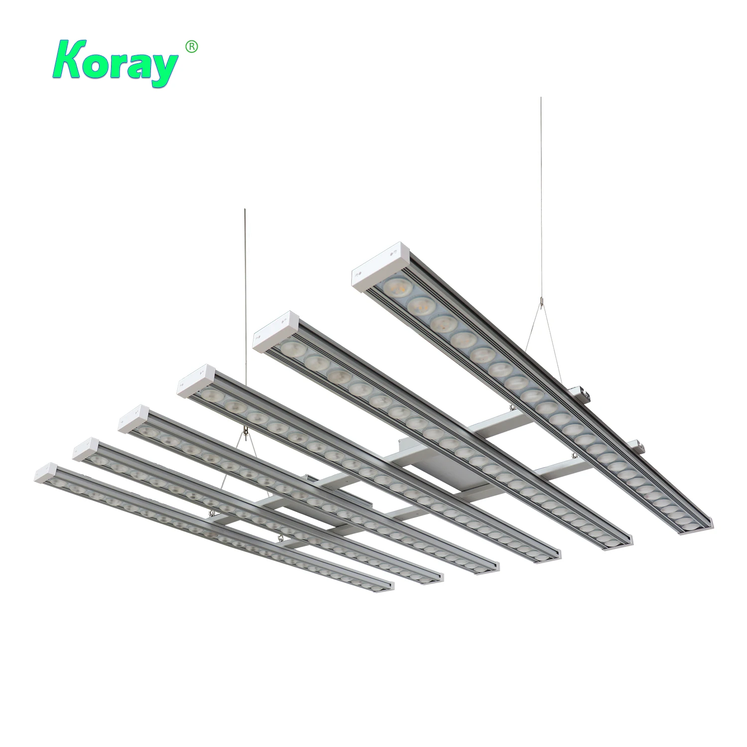 Koray 900W Indoor full spectru - Indoor Plants ulasan dan harga