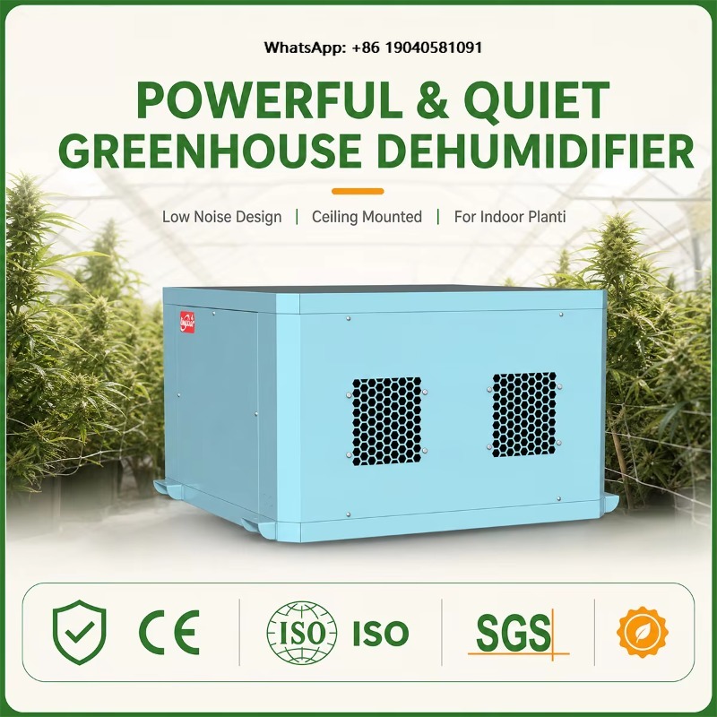 Powerful Greenhouse Dehumidifi - Indoor Plants ulasan dan harga
