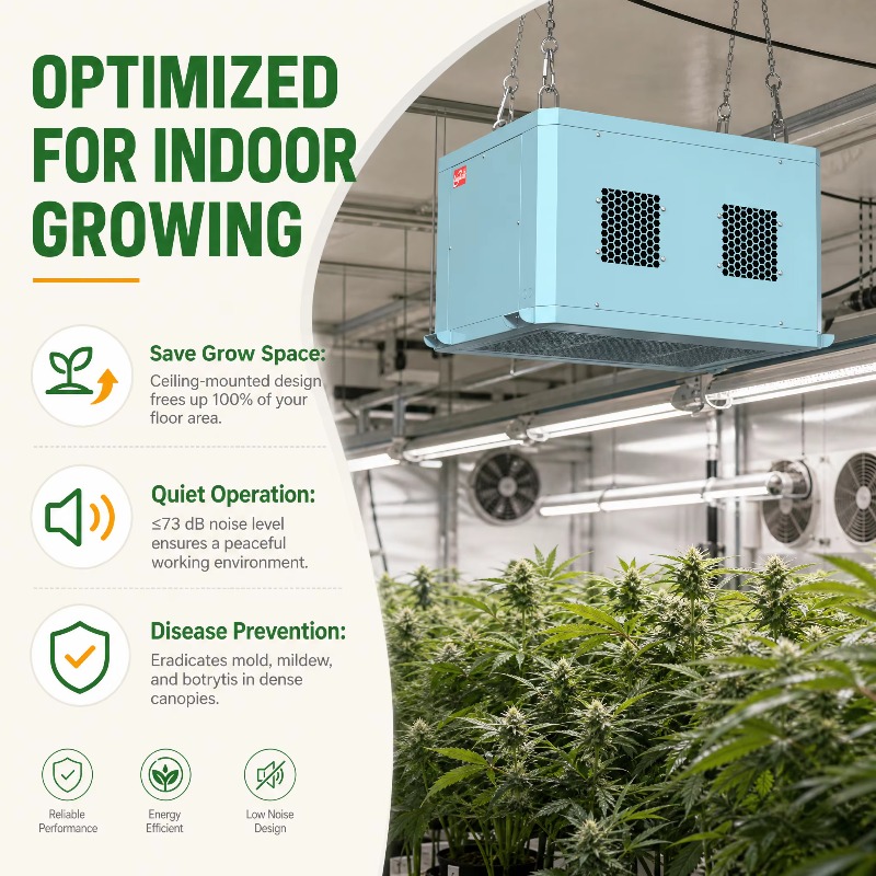 Powerful Greenhouse Dehumidifi - Indoor Plants ulasan dan harga